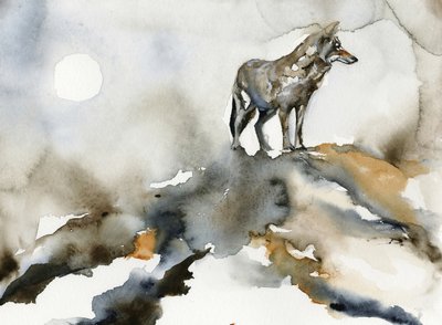 La luna del lupo solitario da RodMacIver