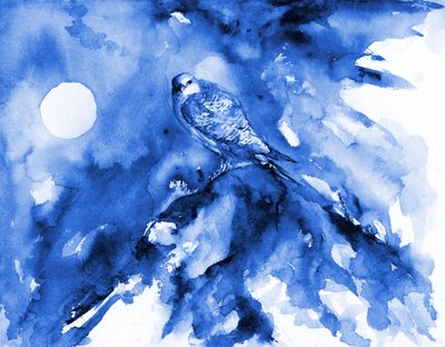 Falco blu al chiaro di luna da RodMacIver