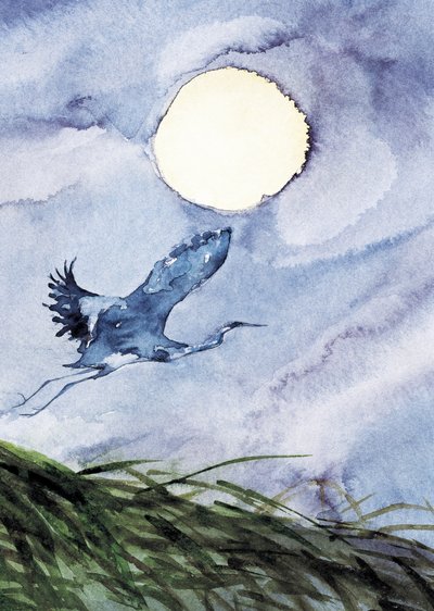 Il volo degli aironi al chiaro di luna da RodMacIver