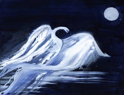 Cigno al chiaro di luna da RodMacIver