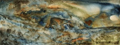 Il Passaggio del Puma da RodMacIver