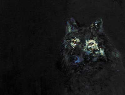 Il misterioso lupo nero da RodMacIver
