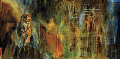 Il misterioso gufo della foresta da RodMacIver
