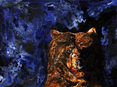 Lo sguardo potente del grizzly da RodMacIver