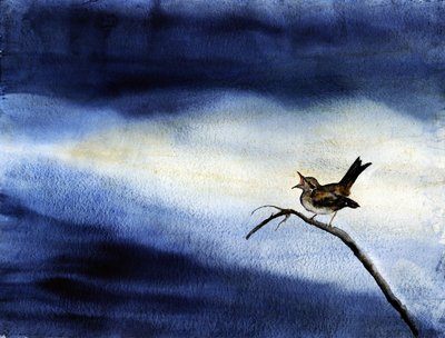 Singing Bird - Cielo scuro da RodMacIver
