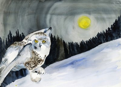 Gufo delle nevi e luna d