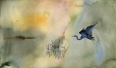 Il tranquillo volo dell
