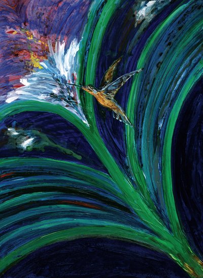 Fioritura vivace del colibrì da RodMacIver