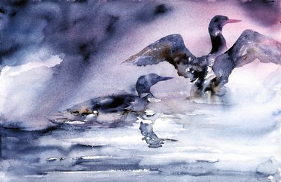 Uccelli acquatici al tramonto da RodMacIver
