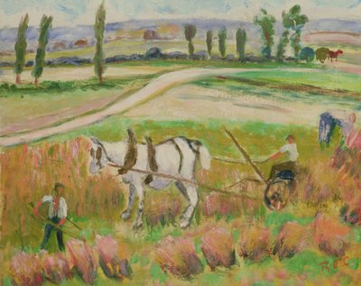 Raccolta con un cavallo bianco da Roderic OConor