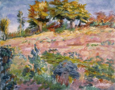 Paesaggio, c.1910 da Roderic OConor