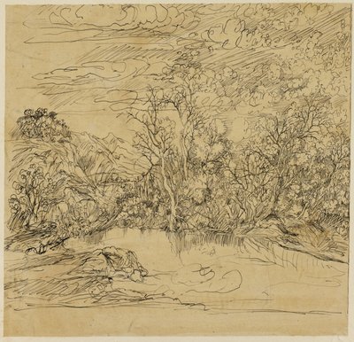 Riva di uno stagno da Rodolphe Bresdin