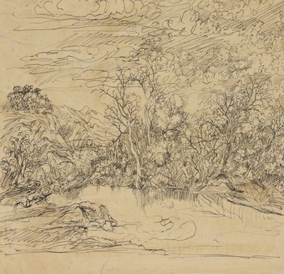 Riva di uno stagno da Rodolphe Bresdin