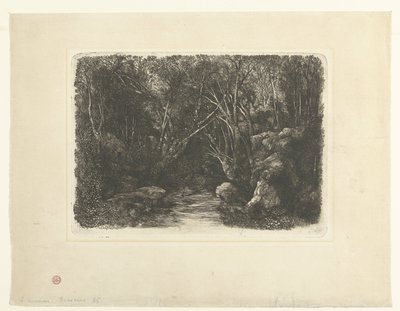 Paesaggio boschivo con ruscello e alberi pendenti da Rodolphe Bresdin