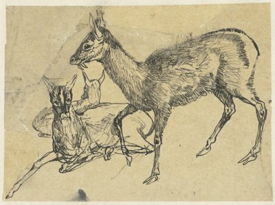 Tre cervi da Rodolphe Bresdin