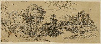 Paesaggio sulla costa occidentale da Rodolphe Bresdin