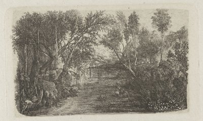 Paesaggio con ruscello e alberi sulle rive da Rodolphe Bresdin