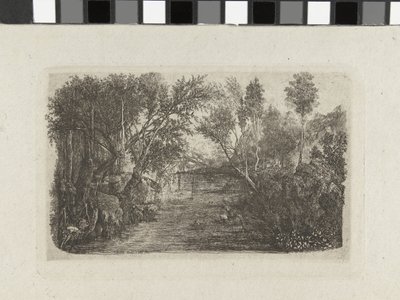 Paesaggio con ruscello e alberi sulle rive da Rodolphe Bresdin