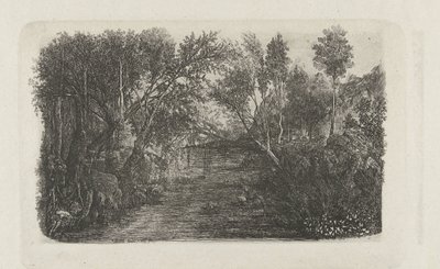 Paesaggio con ruscello e alberi sulle rive da Rodolphe Bresdin
