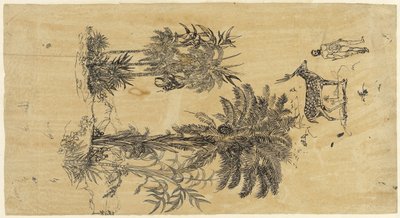 Foglio di studio con palme in due gruppi da Rodolphe Bresdin