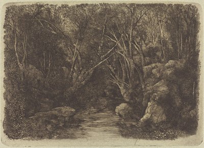 Il ruscello nel bosco da Rodolphe Bresdin