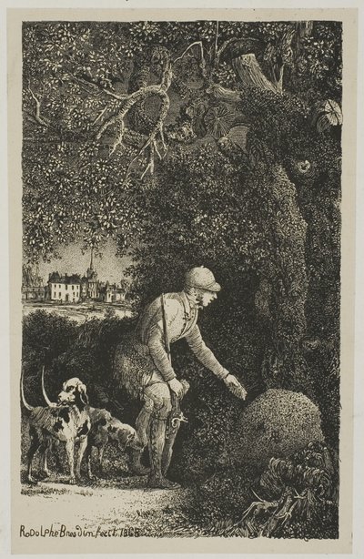 Il Diplomatico e il Formicaio, Illustrazione per Favole e Racconti di Hippolyte de Thierry-Faletans da Rodolphe Bresdin