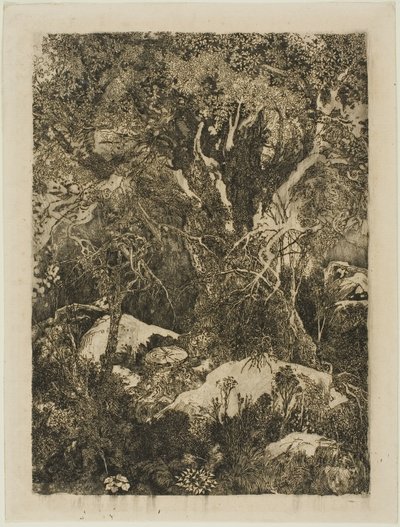 La foresta di Fontainebleau da Rodolphe Bresdin