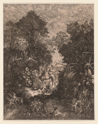 Il buon samaritano da Rodolphe Bresdin