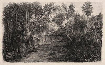 Il Ruscello da Rodolphe Bresdin