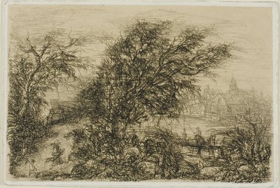 Alberi piegati dal vento da Rodolphe Bresdin