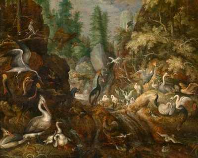 Paradiso degli Uccelli da Roelandt Jacobsz. Savery
