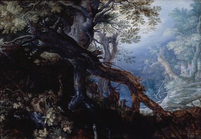Bosco con cervo, 1608-10 circa (olio su tavola) da Roelandt Jacobsz. Savery