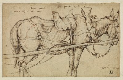 Mulo imbrigliato da Roelandt Jacobsz. Savery
