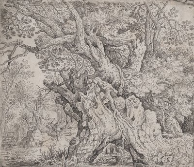 Albero nodoso, ca. 1608-09 da Roelandt Savery