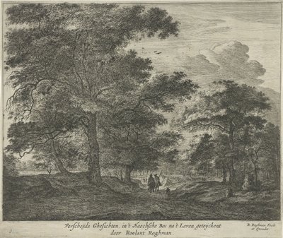 Sentiero nel bosco dell