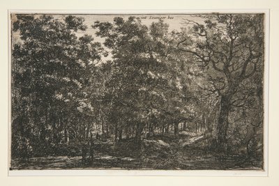 Int Seuniger Bos da Roelant Roghman