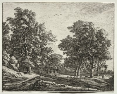 Sei vedute nel bosco dell