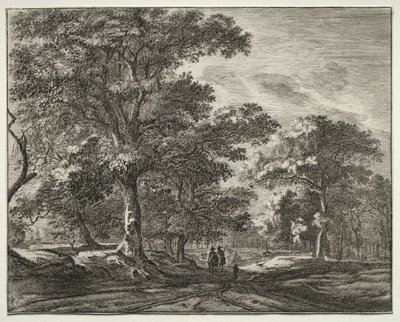 Sei vedute nel bosco dell