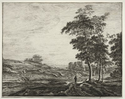 Sei vedute nel bosco dell