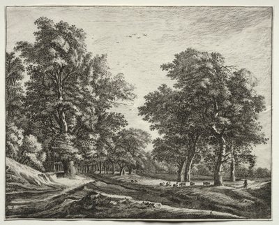 Sei vedute nel bosco dell