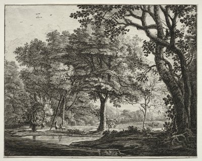 Sei vedute nel bosco dell