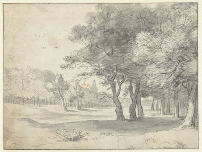 Veduta nel bosco dell