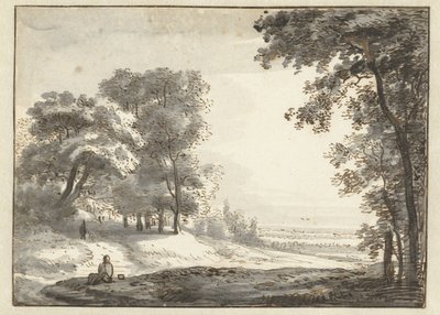 Paesaggio boscoso con viaggiatore in riposo da Roelant Roghman
