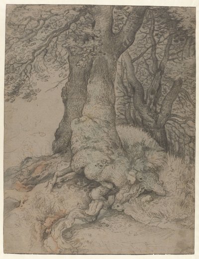Studio di tronchi e radici d