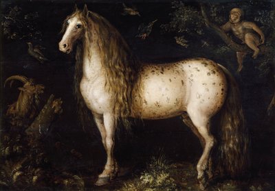 Il grigio pomellato, c. 1625-1630 da Roelant Savery