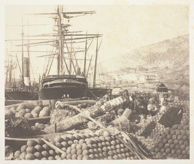 Il molo dell