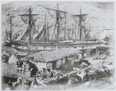 Il molo del bestiame nel porto di Balaklava da Roger Fenton