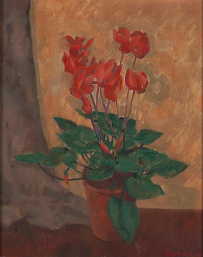 Ciclamino da Roger Fry