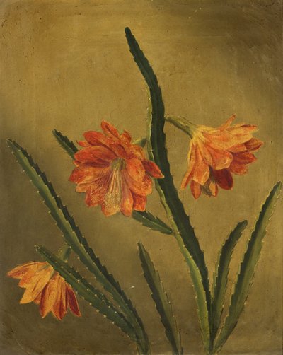 Studio di fiori da Rolinda Sharples