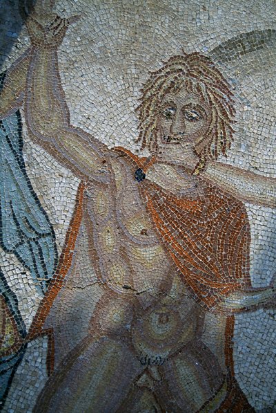 Rapimento di Ila da parte delle Ninfe, mosaico nella Casa di Venere nella città romana di Volubilis (Lista del Patrimonio Mondiale UNESCO) da Roman